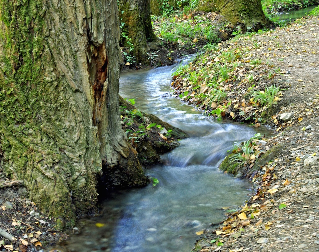 making healthy decisions river